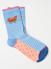 Blue Hetty Highland Cow Women's Socks