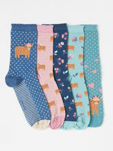 Multi 5 Pairs of Highland Cow Socks