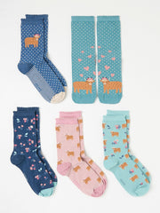 Multi 5 Pairs of Highland Cow Socks