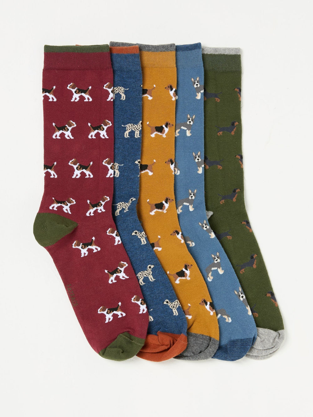 Multi Dogs 5 Pack Men's Socks