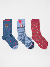 Navy Hedgehog 3 Pack Women's Socks