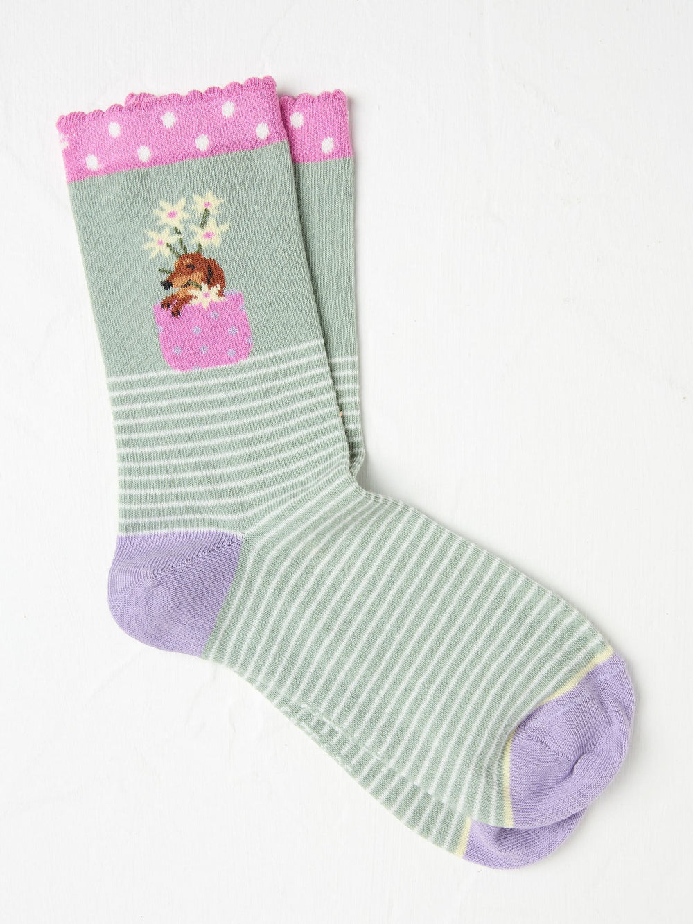 Green Stripe Dog Women's Socks