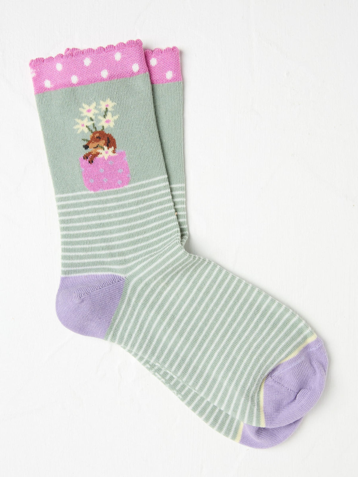 Green Stripe Dog Women's Socks
