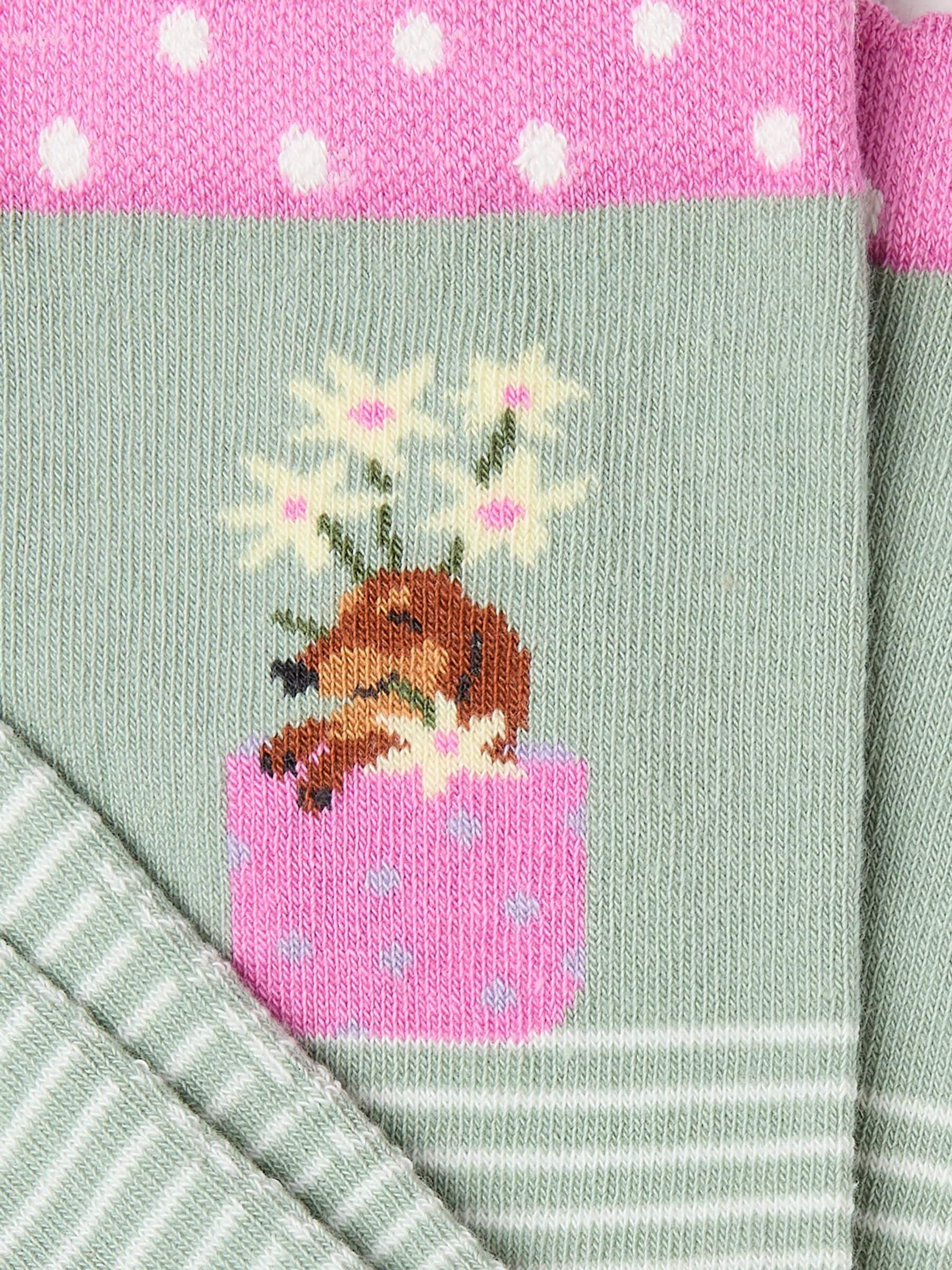 Green Stripe Dog Women's Socks