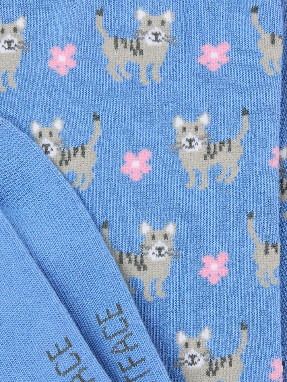 Blue Cat Socks