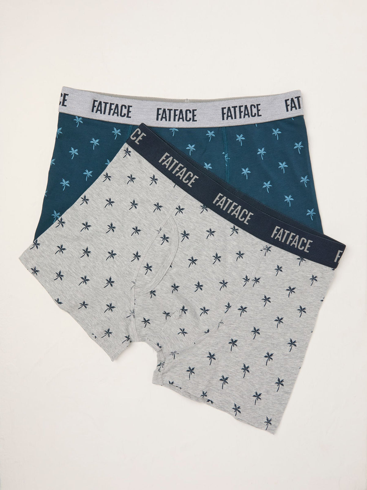 Teal Palm Tree Classic Boxers 2 Pack