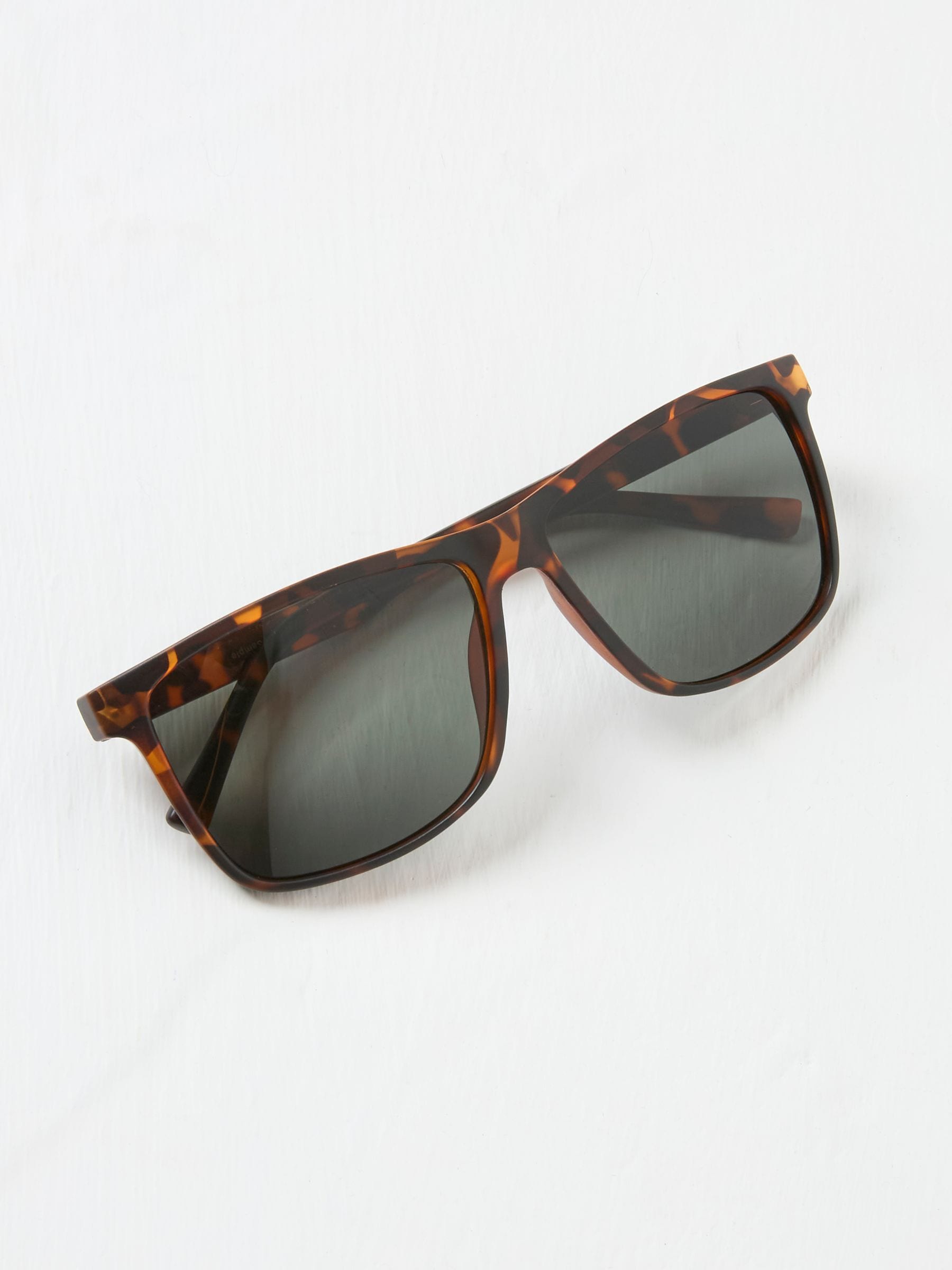 Tortoiseshell Brown Dylan Sunglasses