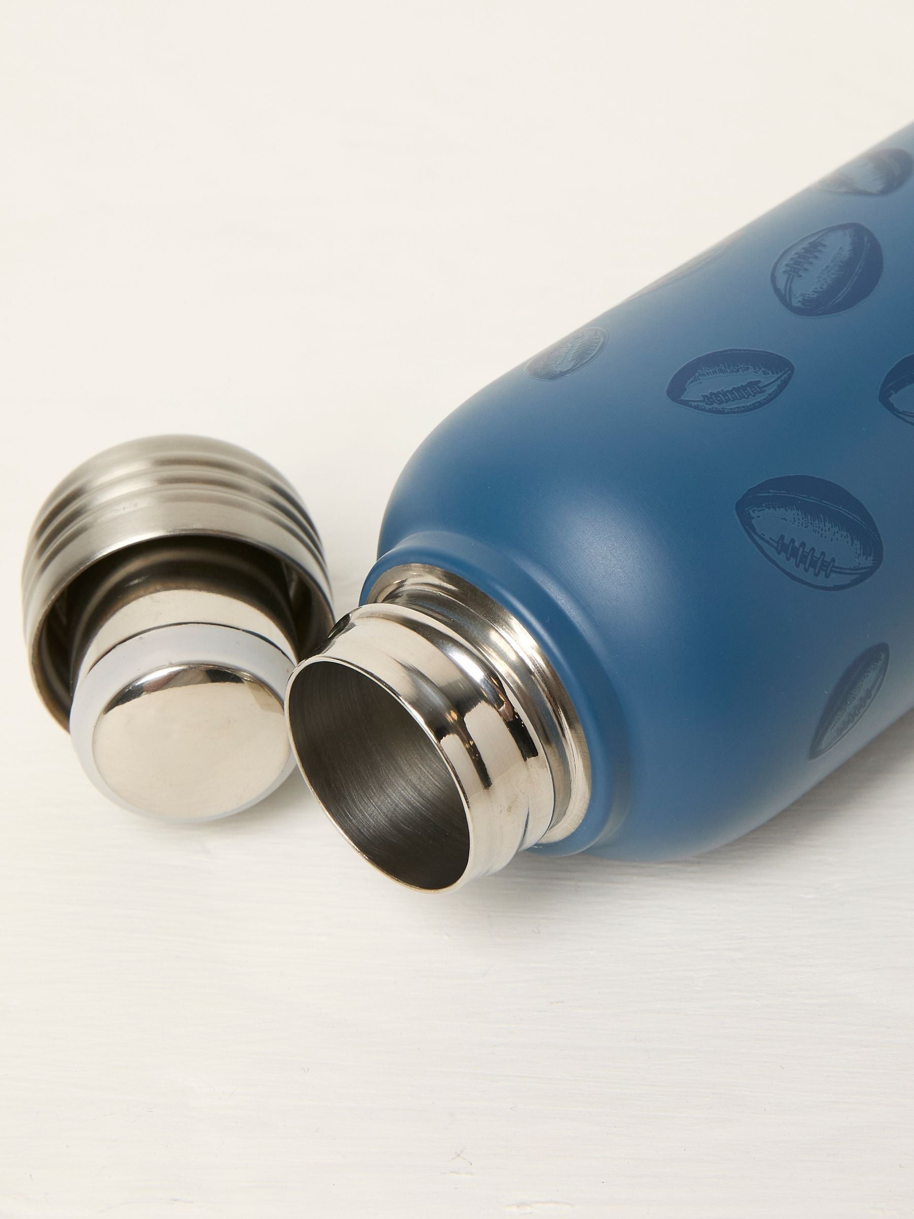 Blue Lions Tour Water Bottle