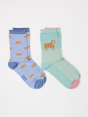 Multi Blue 2 Pairs Hetty Highland Cow Socks in a Box